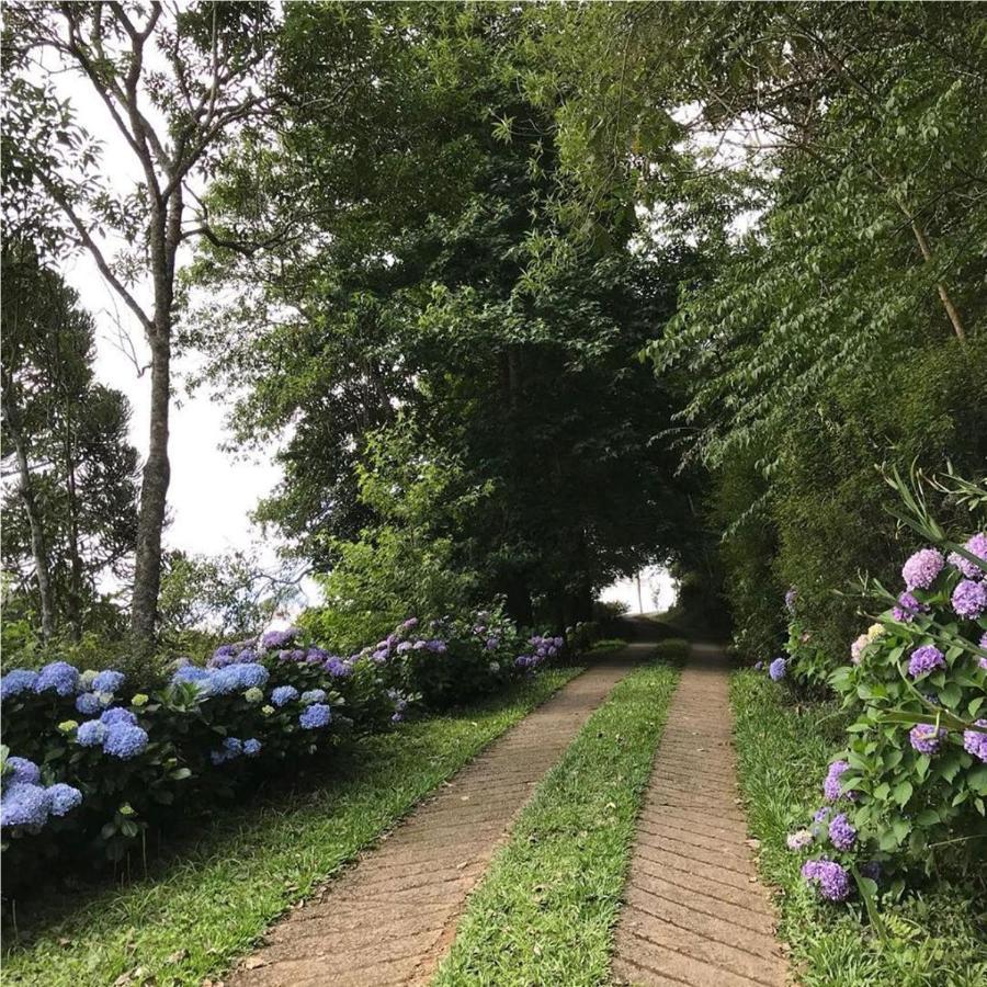 Jardim Suspenso Da Babilonia 3*
